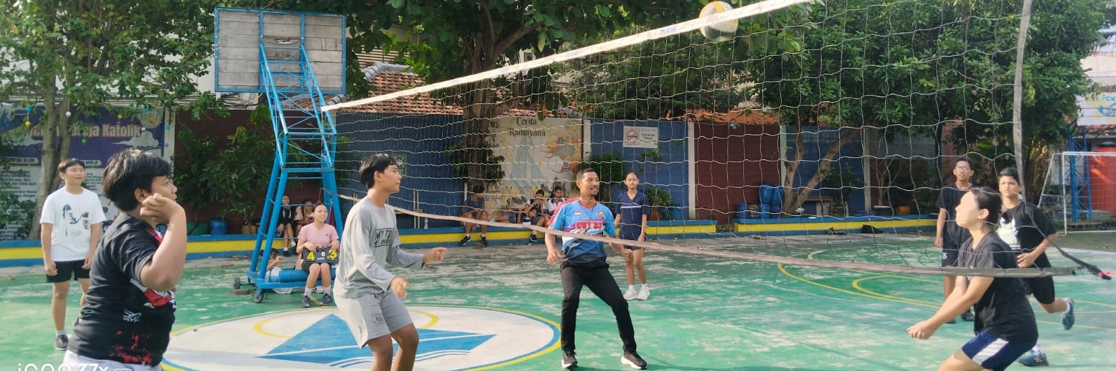 ekstra Volly